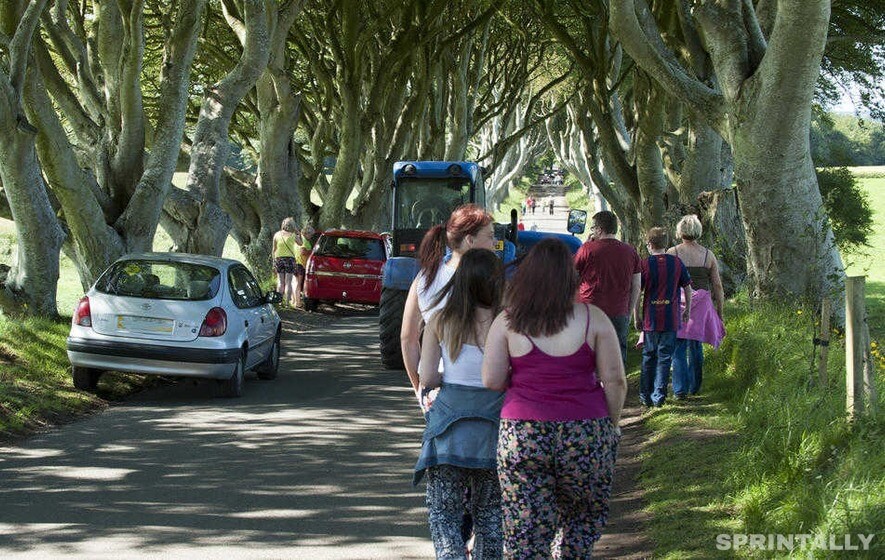 DARK HEDGES