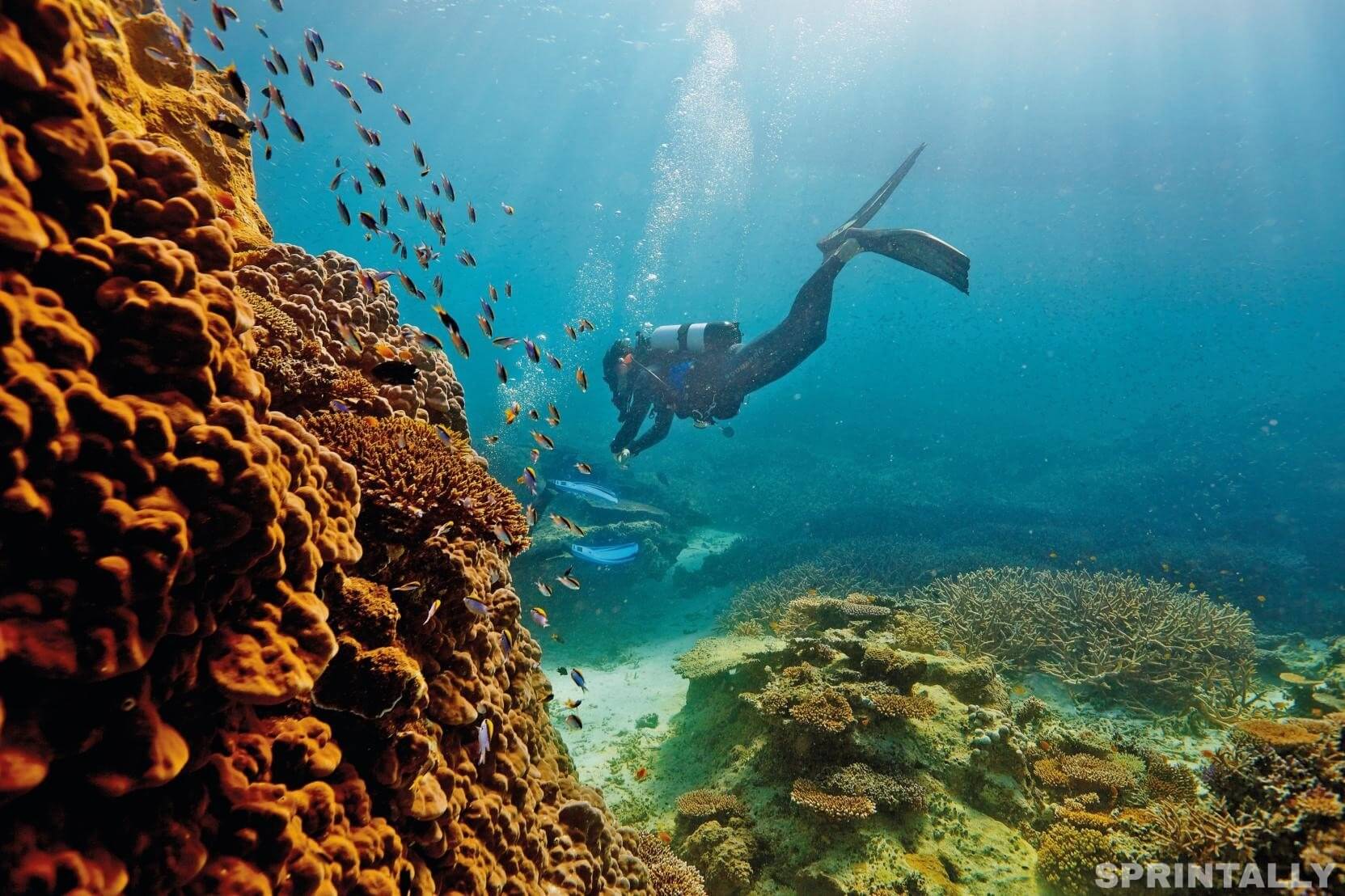 great-barrier-reef