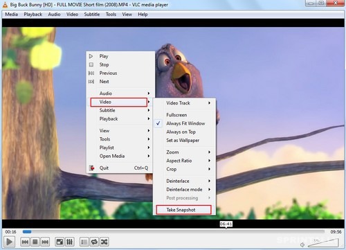 Take Snap in VLC