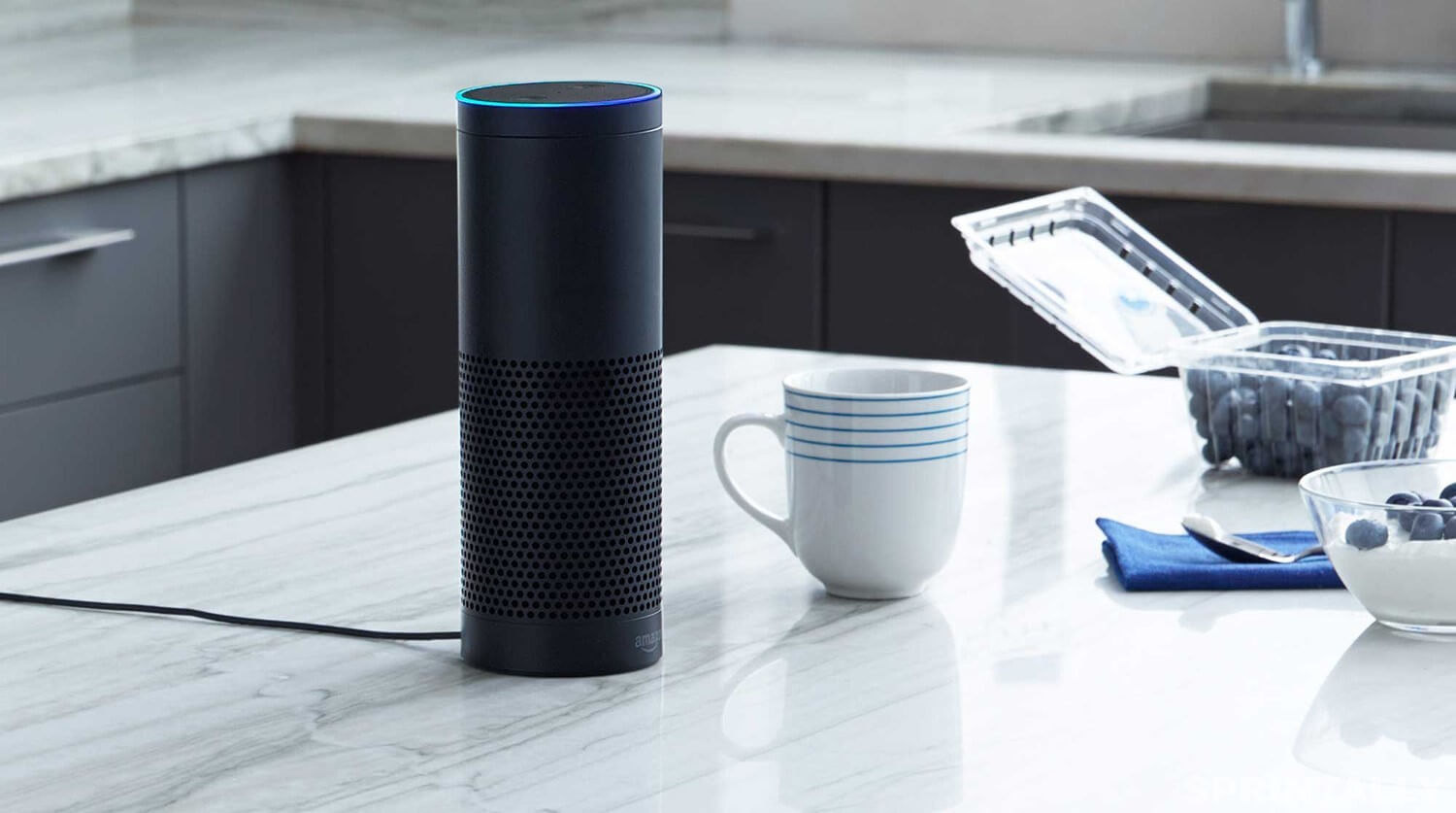 Amazon Echo