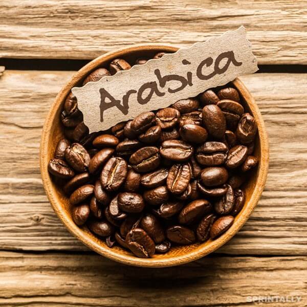 Arabica coffee