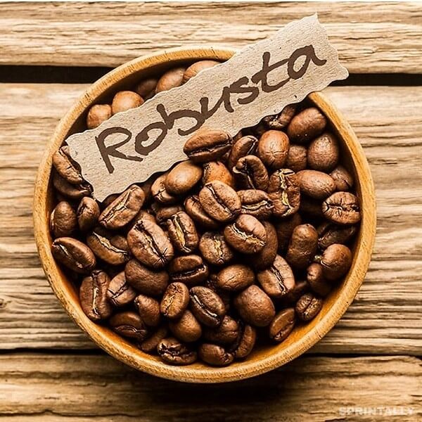 Robusta coffee