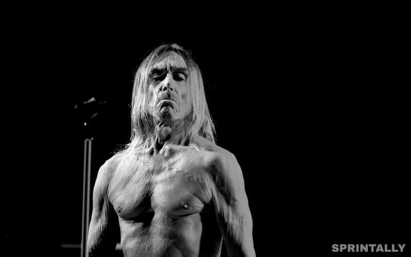 The Stooges