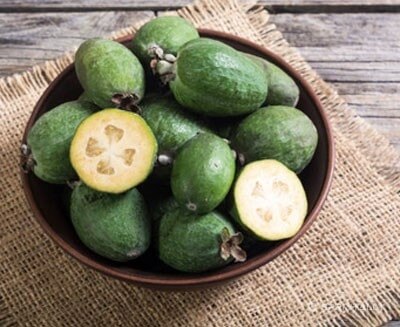 feijoa