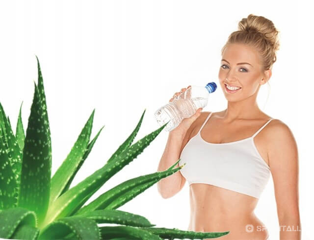 Aloe vera