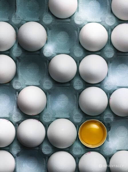 eggs