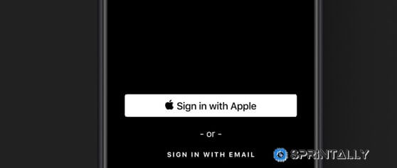 Authorization via Apple ID