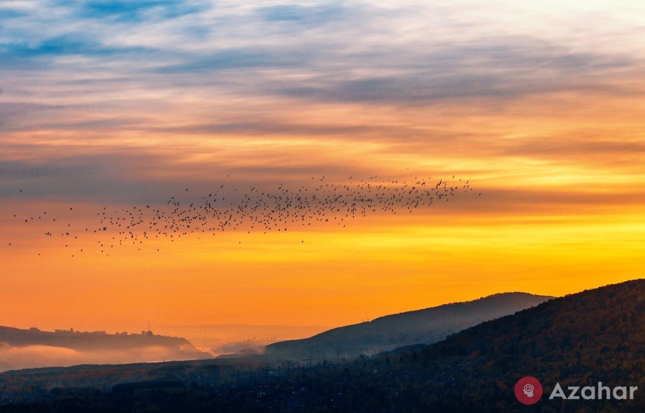 Autumn sunrise