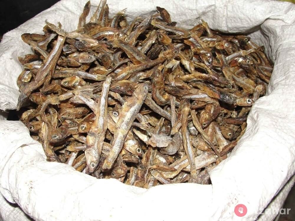 dry fish