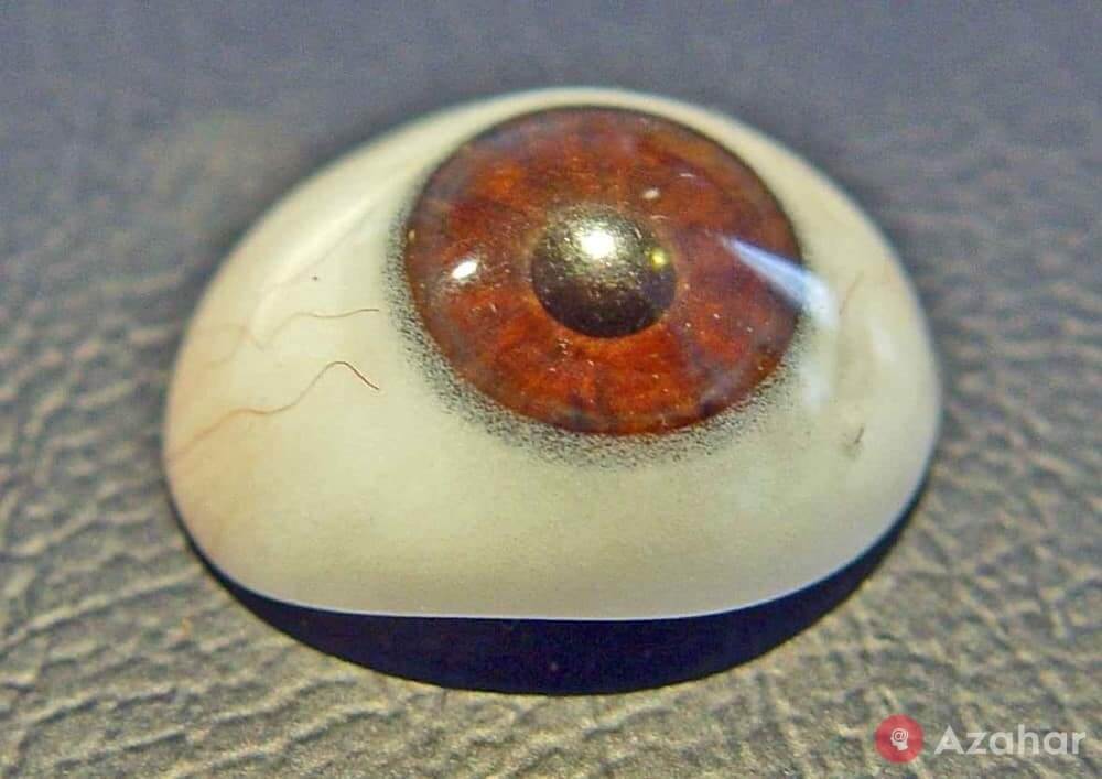 eye