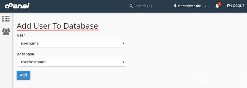 add user to database