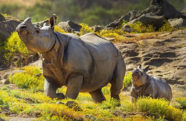 San Diego Zoo