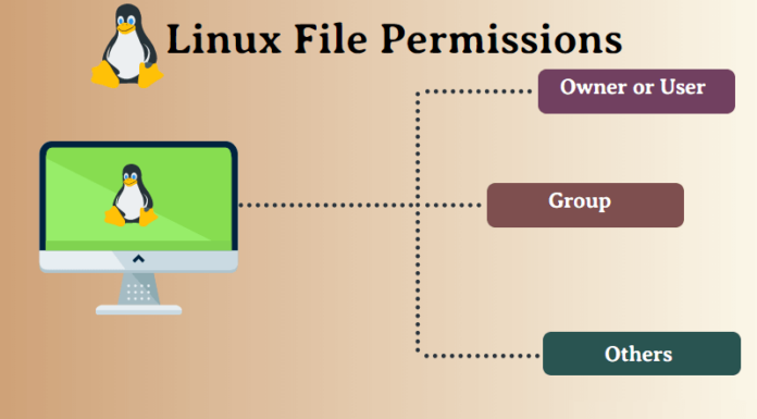 Access Rights In Linux