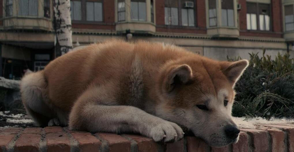 Hachikō