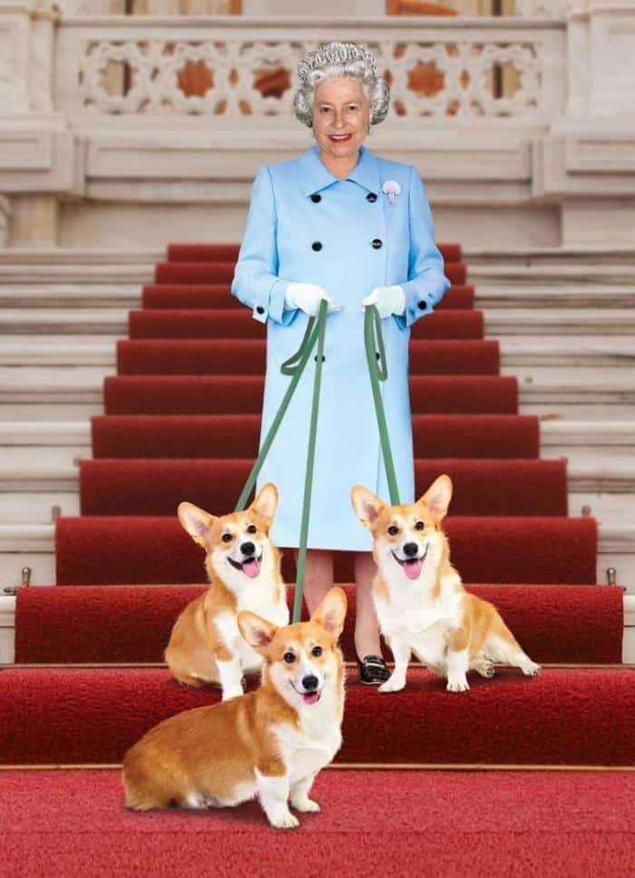 Elizabeth II's Corgis