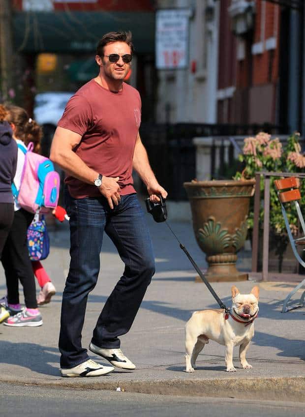 Hugh Jackman And Ozzy Osbourne's French Bulldog