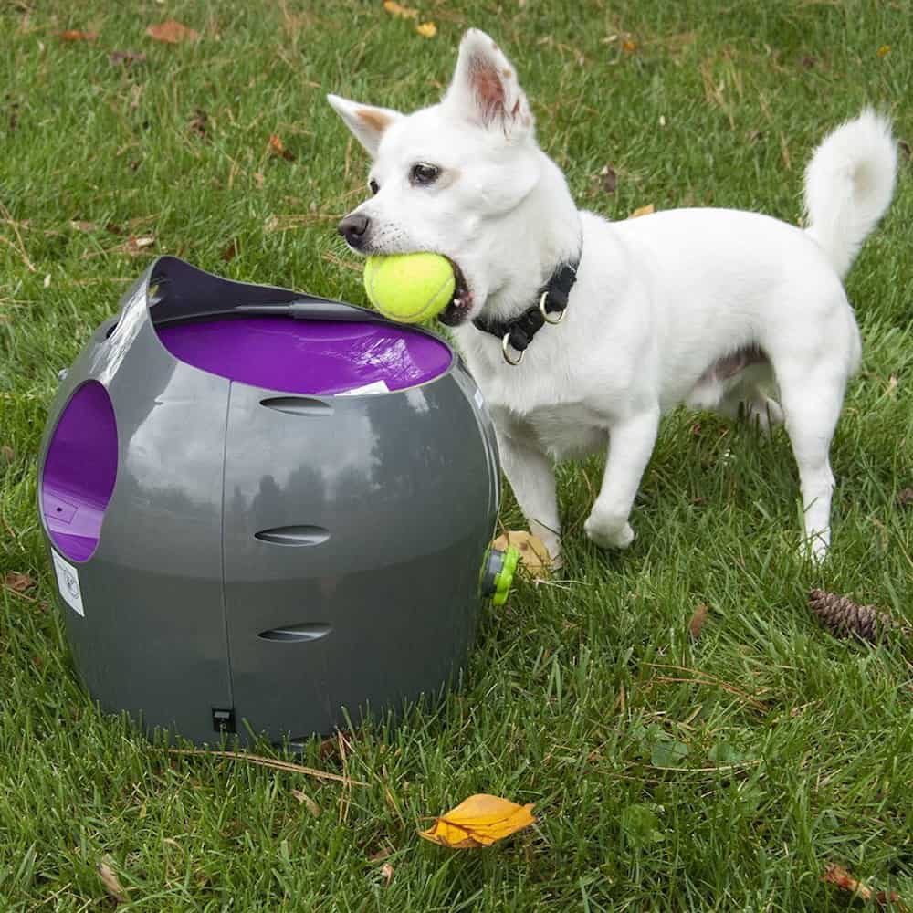 Automatic Ball Feeder