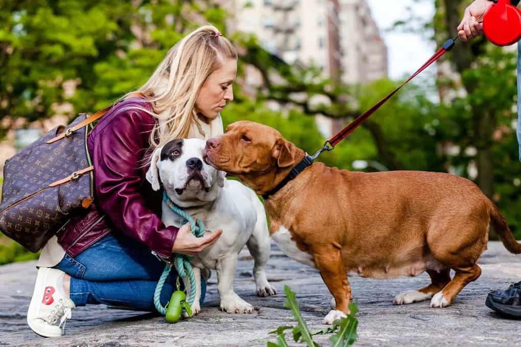 When Forced To Communicate With Unloved People And Animals