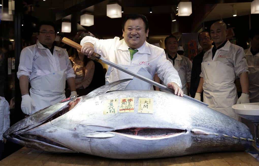 Tuna At 108 Kg