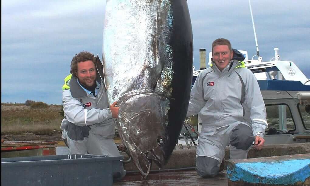 Tuna Per 200 Kg