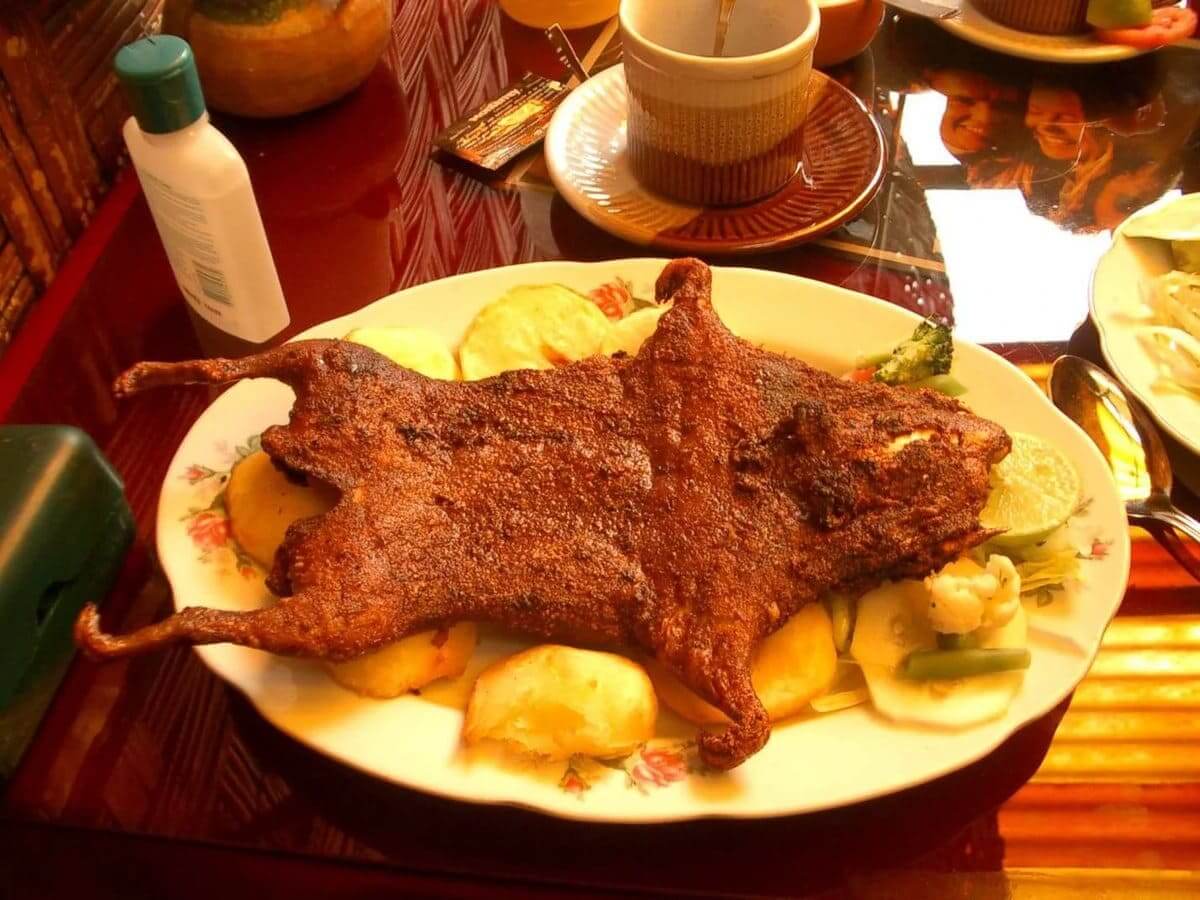 Fried Hedgehog A Traditional Gypsy Dish